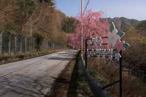 병곡마을