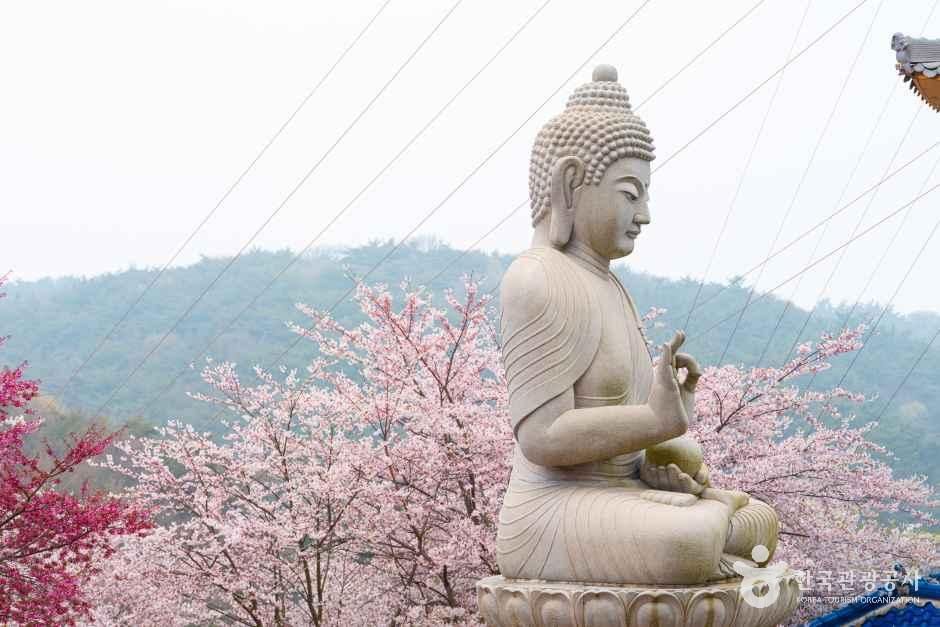 안면암(태안)