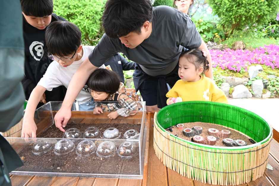함평나비대축제