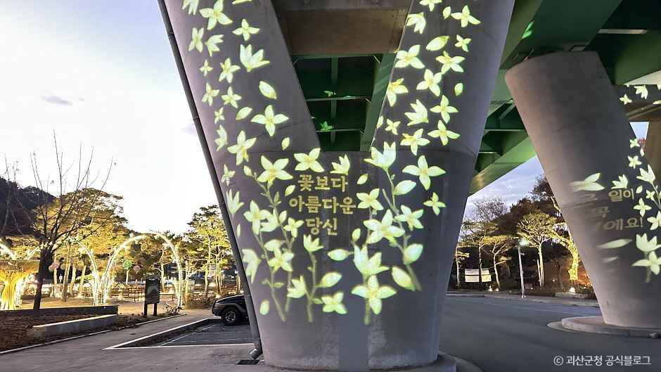 괴강불빛공원