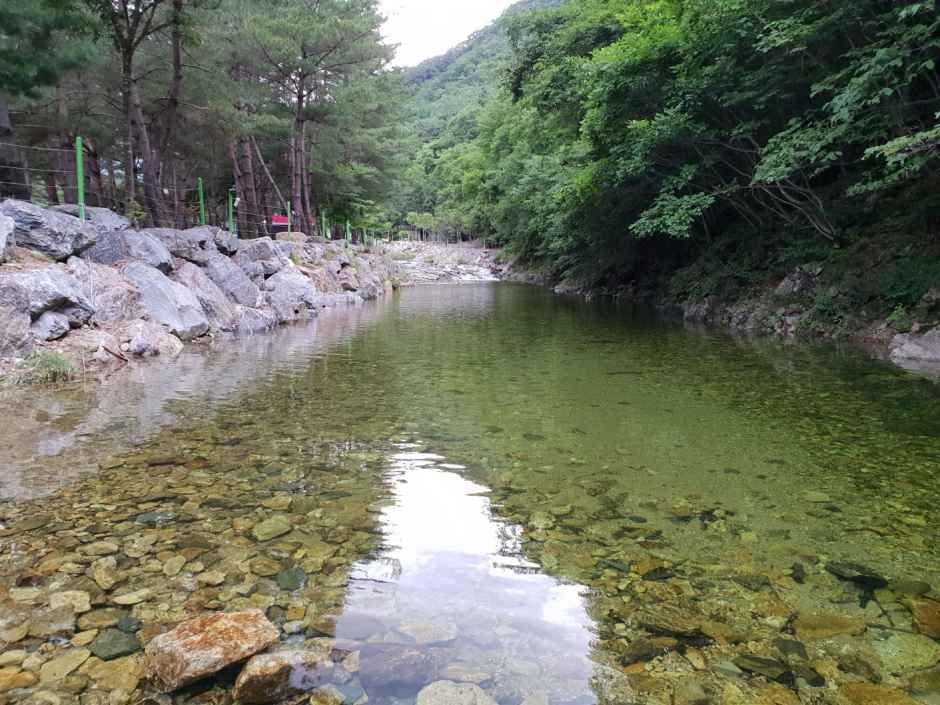 도원패밀리캠핑장