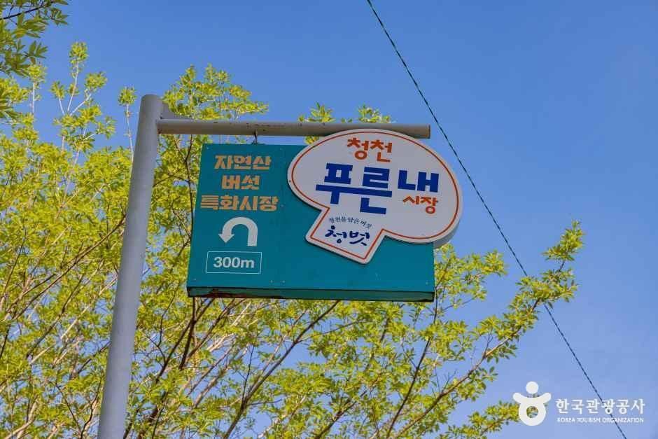 청천푸른내시장