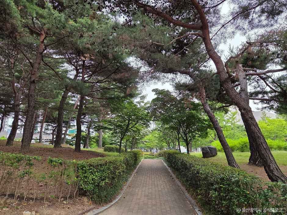 문화공원(울산)