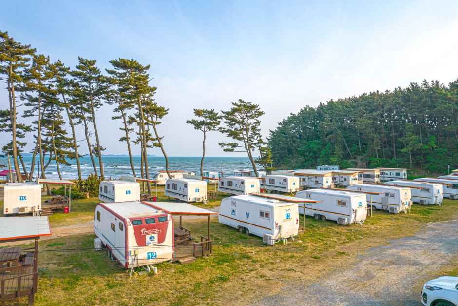블루오션 리조트 5