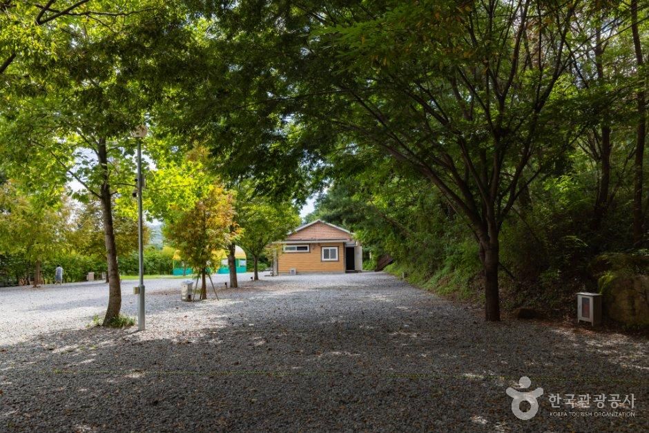 홍성_용봉산캠핑장 (2).jpg