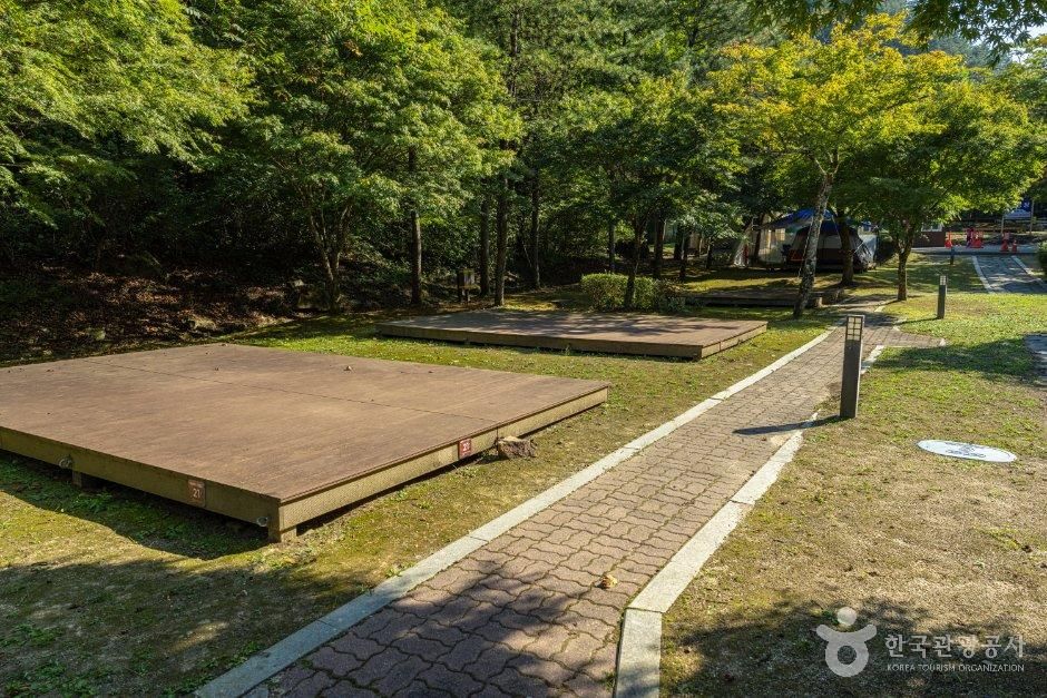 화암약수 야영장