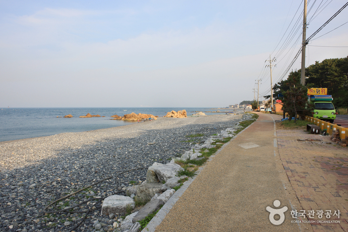 주전몽돌해변 주전몽돌해변