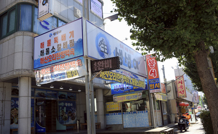 Saengsaengi