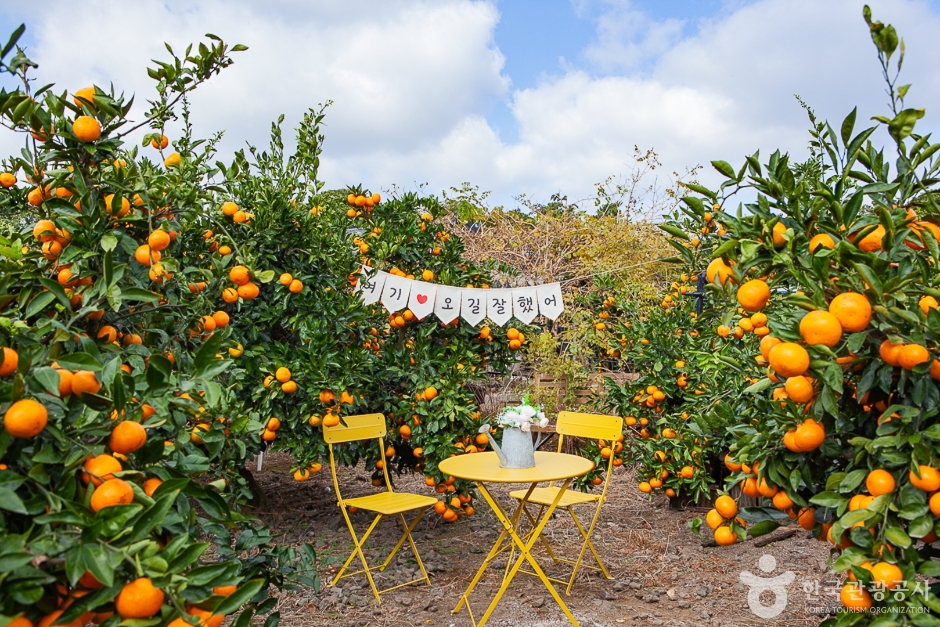 Troy Theme Orchard