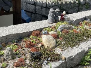 화림선원 사진 7