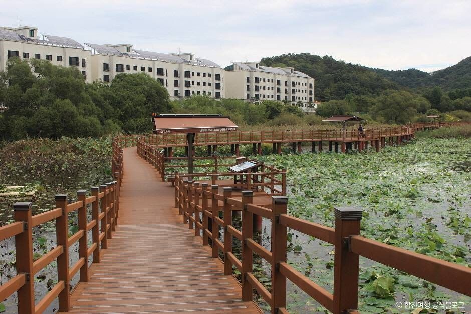 井阳沼生态公园