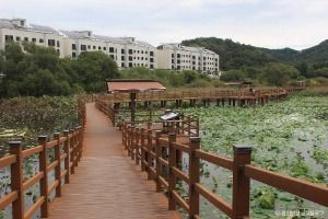 정양늪생태공원