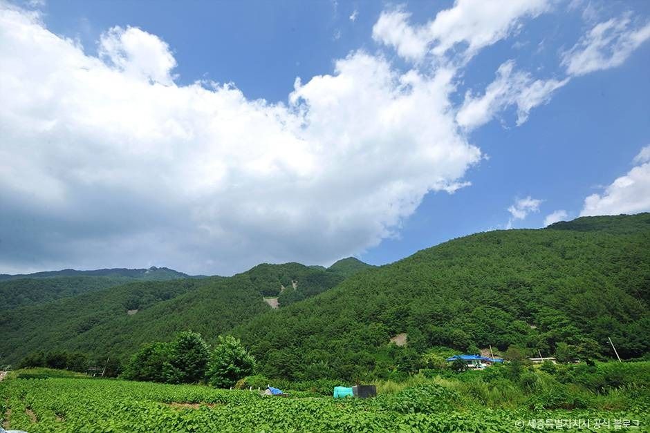 白石峰(旌善)