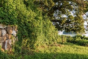 강진마도진만호성지