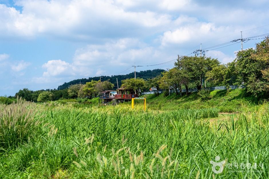 炭川淡水魚湿地生態園
