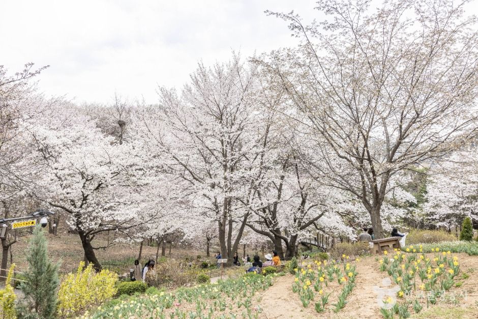 Yeonhui Forest Rest Area