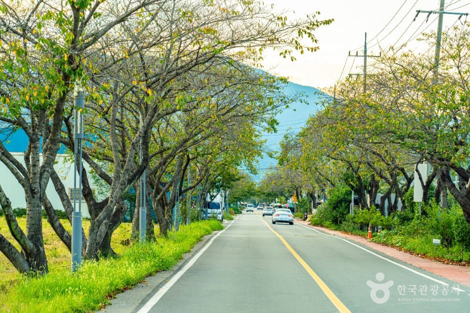 河东名品梨街