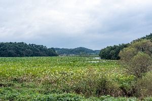 충남 서산빛들마을