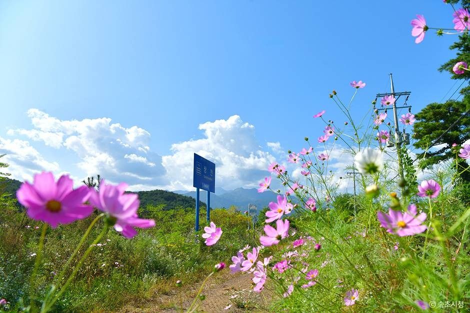 双川道
