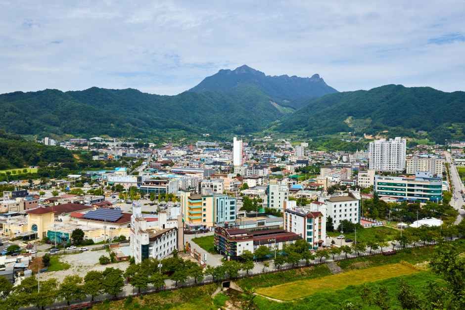 봉명산 출렁다리_5