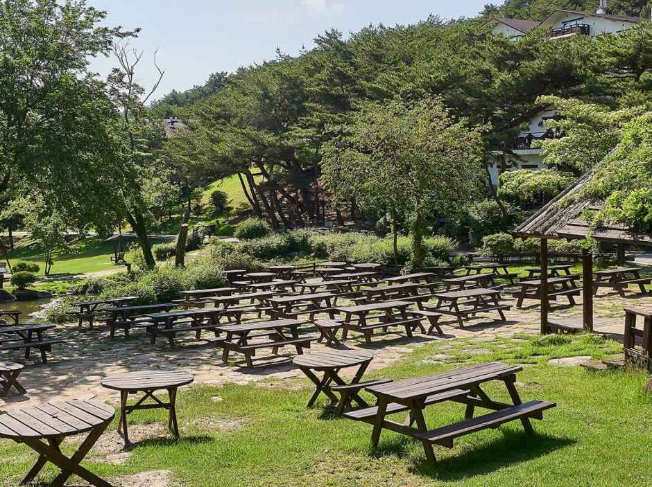 제천_클럽이에스제천리조트 (1).jpg