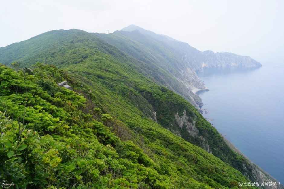 신안_독실산 (2).jpg