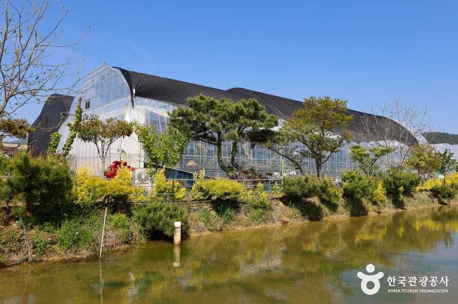 Hampyeong Banana Ecology Land