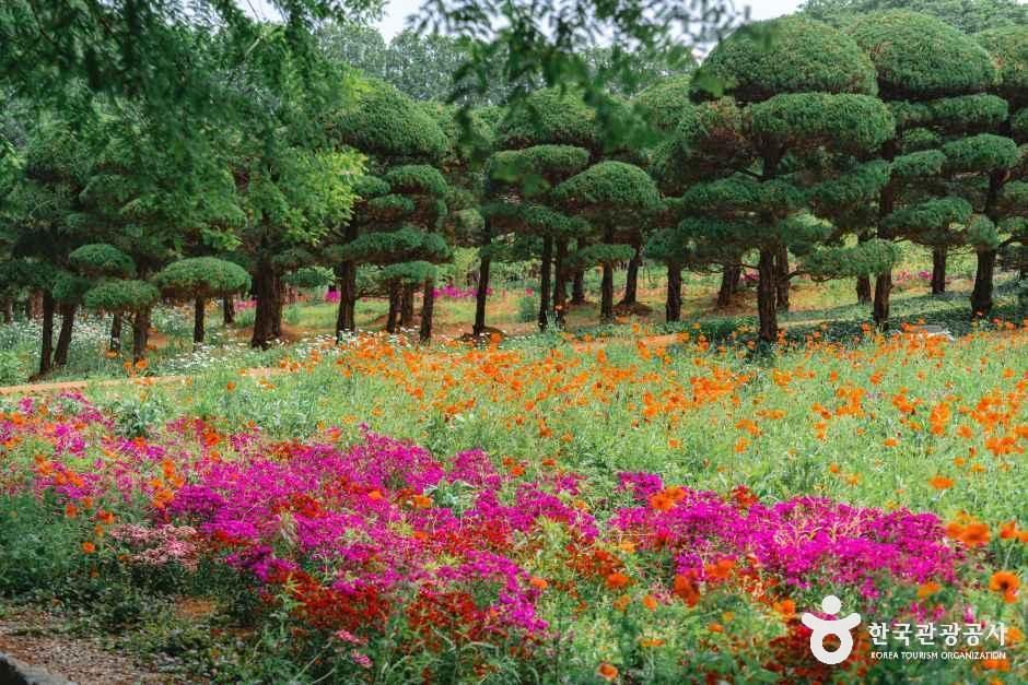 アガペ庭園