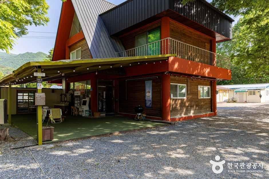 제천_월악 파머스 캠핑장 (1).jpg
