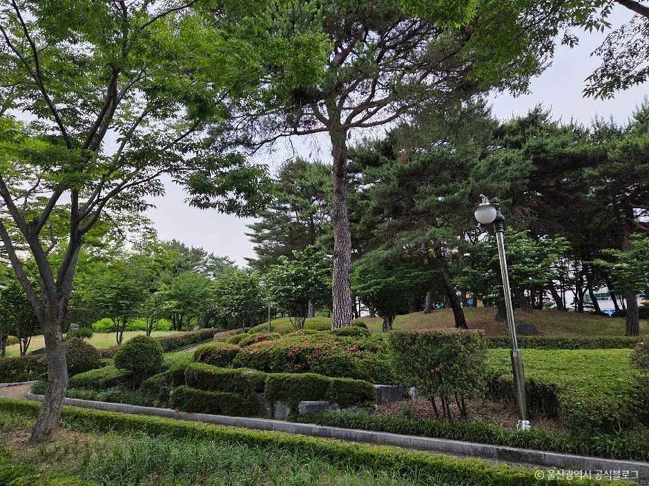 문화공원(울산)