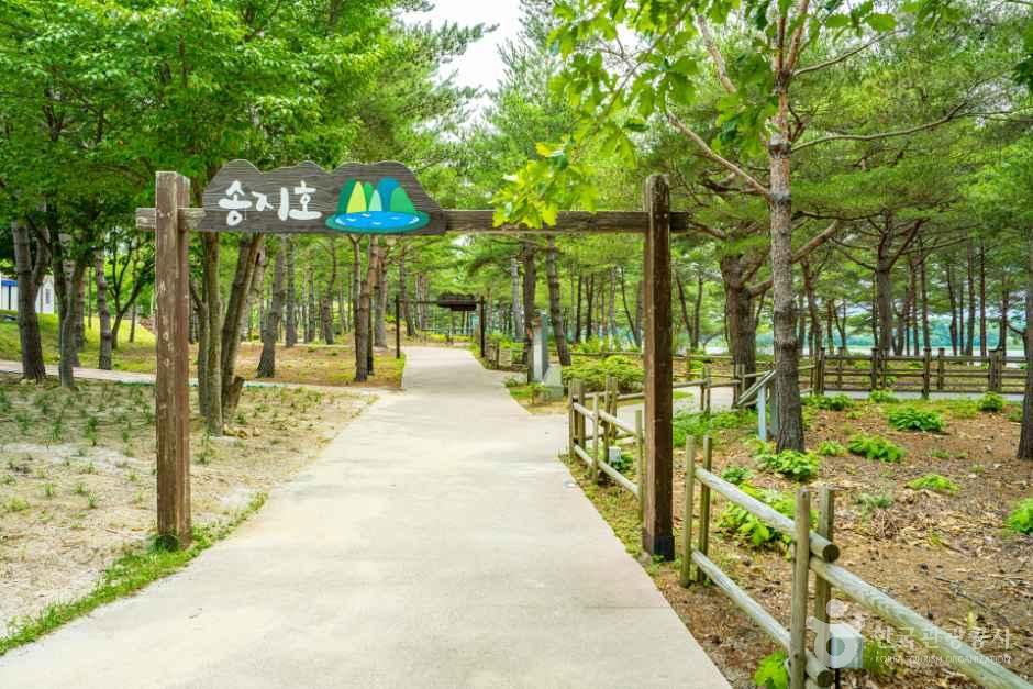 [해파랑길] 47코스 사진 6