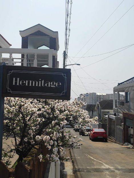 에르미타주