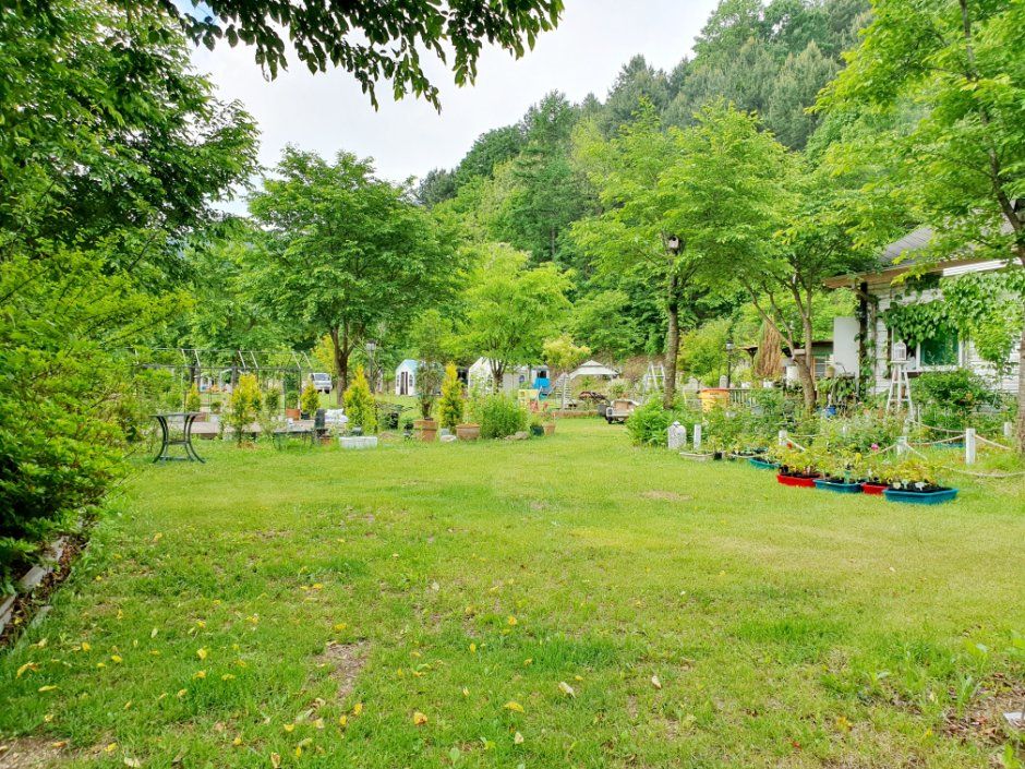 낭만캠프 사진 4