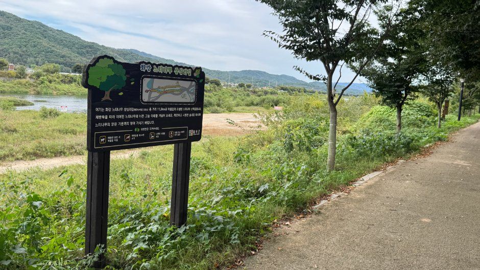 [강원평화누리자전거길 3코스] 철원 화강길