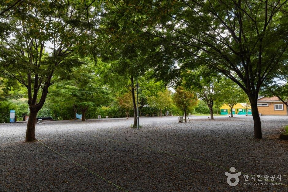 홍성_용봉산캠핑장 (3).jpg