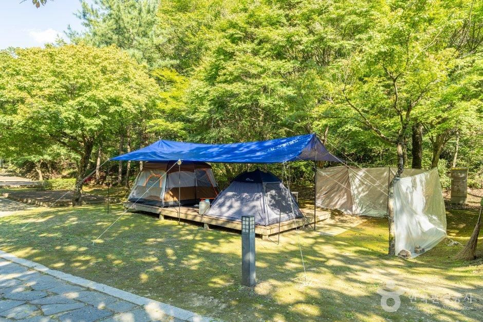 화암약수 야영장