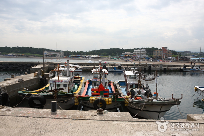 이호 테우해변 이호 테우해변