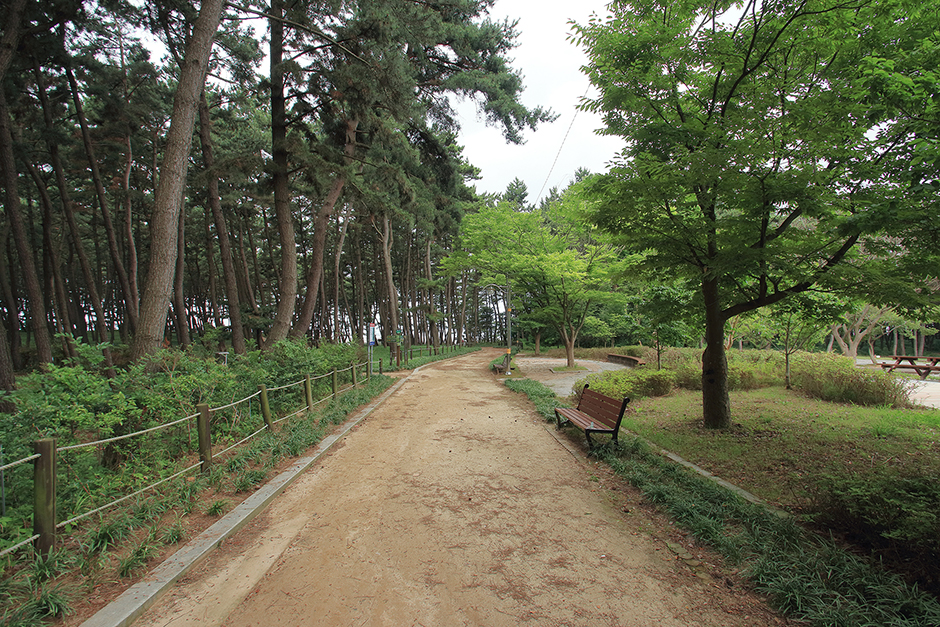 솔바람캠핑장