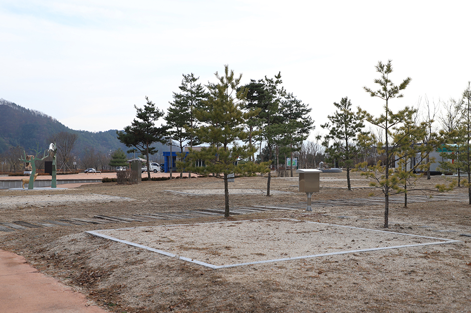 人文学村 キャンプ場