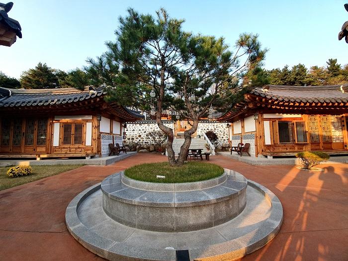 A pine tree stands center in the courtyard.