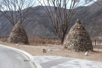 새별공원 사진 7