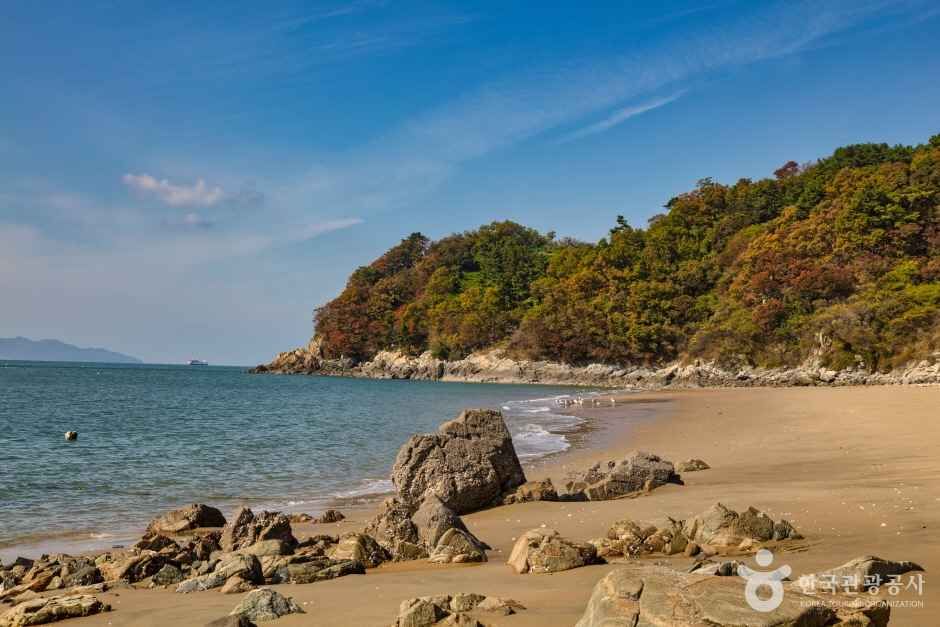 계남해변 사진 1