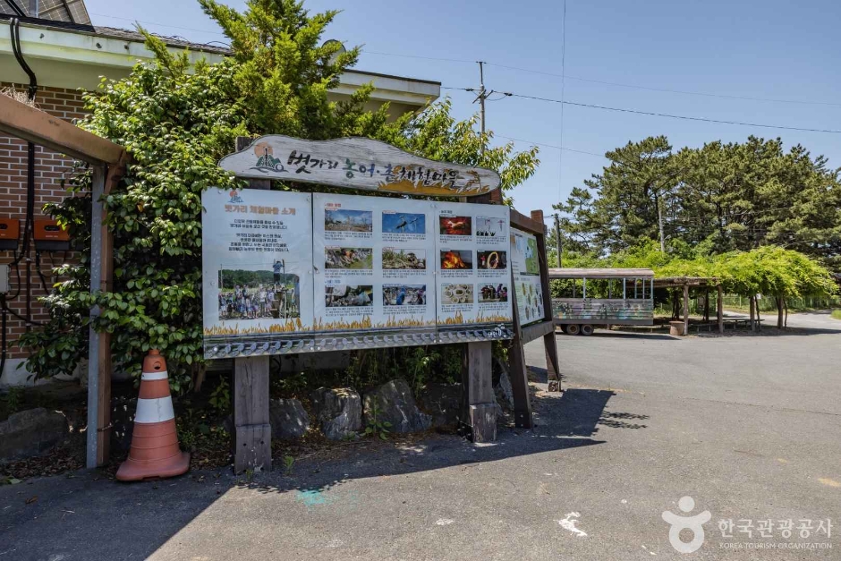泰安 ピョッカリ村