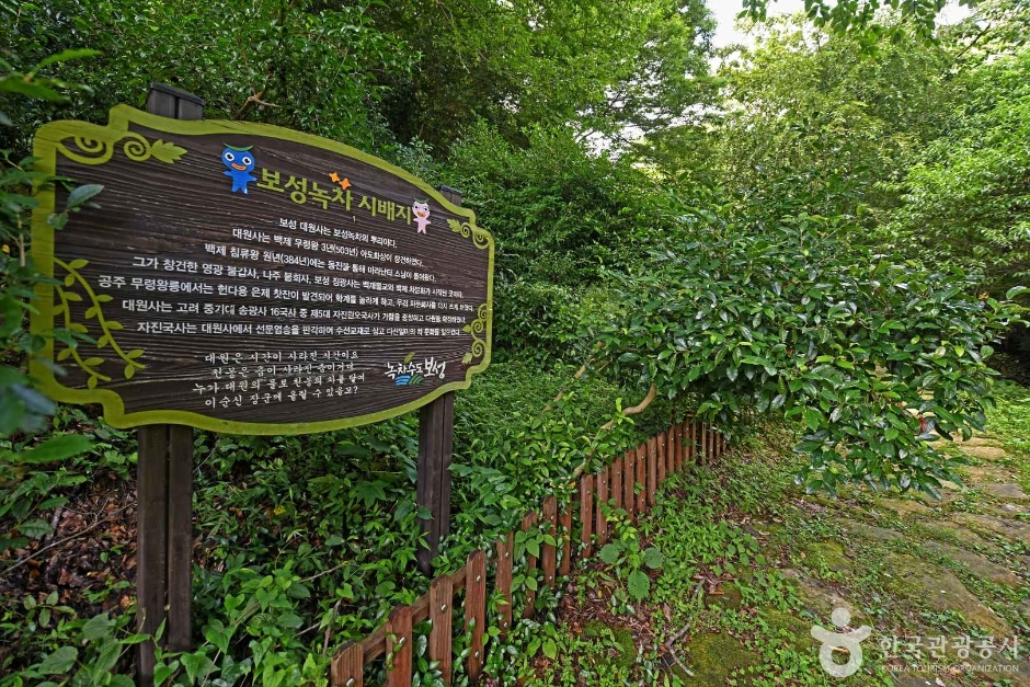 Boseong Green Tea Origin Site