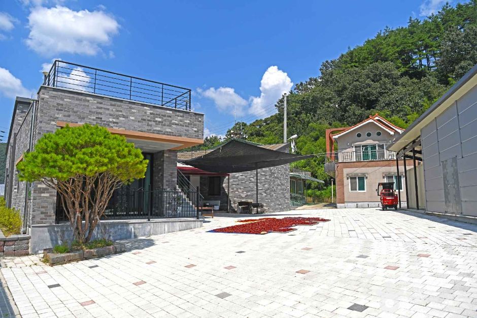 鎮安感動村
