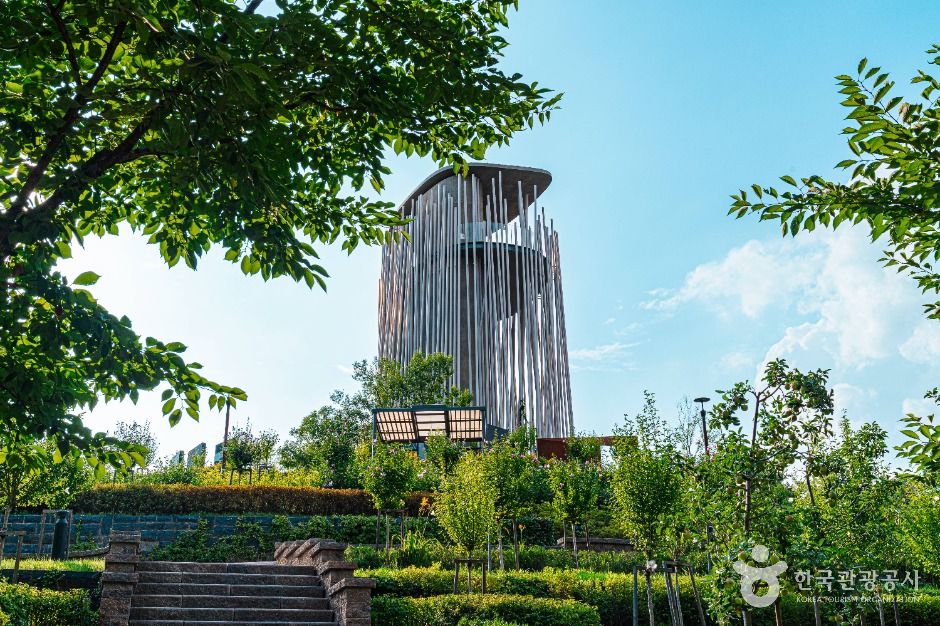 Growing Forest (Gwangjin Forest Naru Observatory)