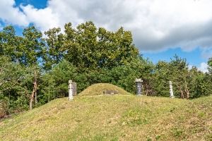 충주 이시진 묘소