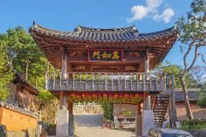 3567872 image3 1 예스키즈존 탐험대 : 실패 없는 육아여행