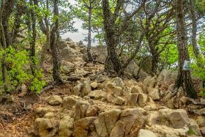 서울_관악산 (5)