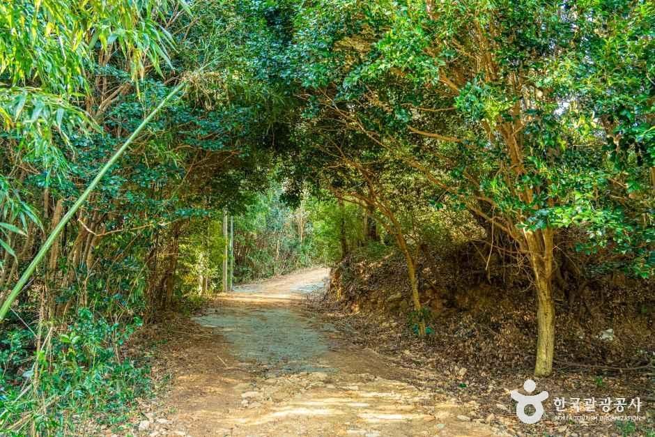 고산 윤선도 문학체험공원